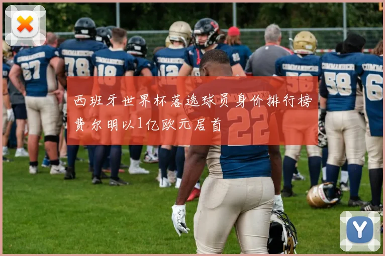 西班牙世界杯落选球员身价排行榜费尔明以1亿欧元居首