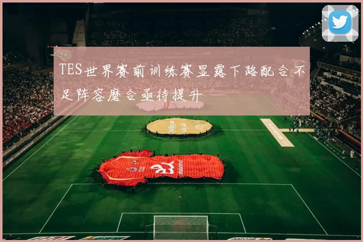 TES世界赛前训练赛显露下路配合不足阵容磨合亟待提升